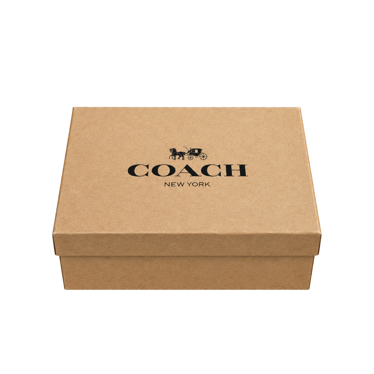 SET CARTERA Y CINTO COACH